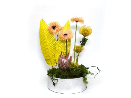 Lovely Arrangement on Sale