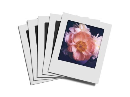 Instant Postcards :: Set of 5 Sale