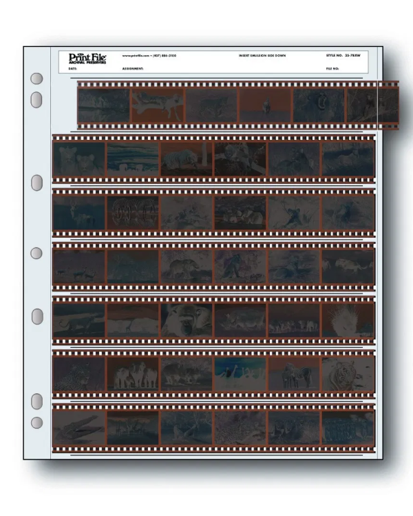 35mm Archival Negative Preservers Sale