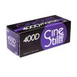 400Dynamic Versatile Color Negative Film, 120 Online now