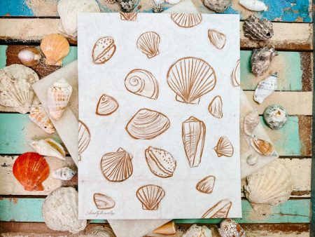 Abstract Shells Supply