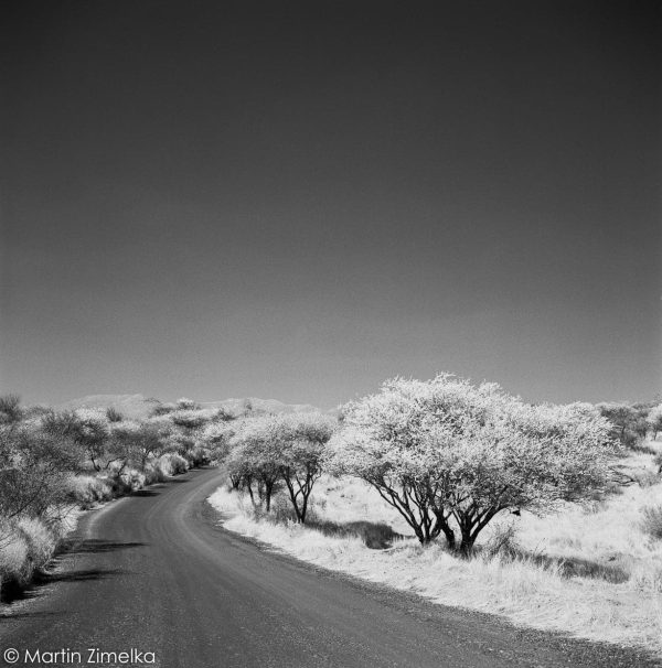 Infrared 400 B&W Negative Film, 120 Sale