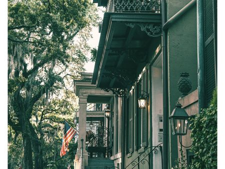 Savannah Morning #2 - Modern Photographic Print on Sale